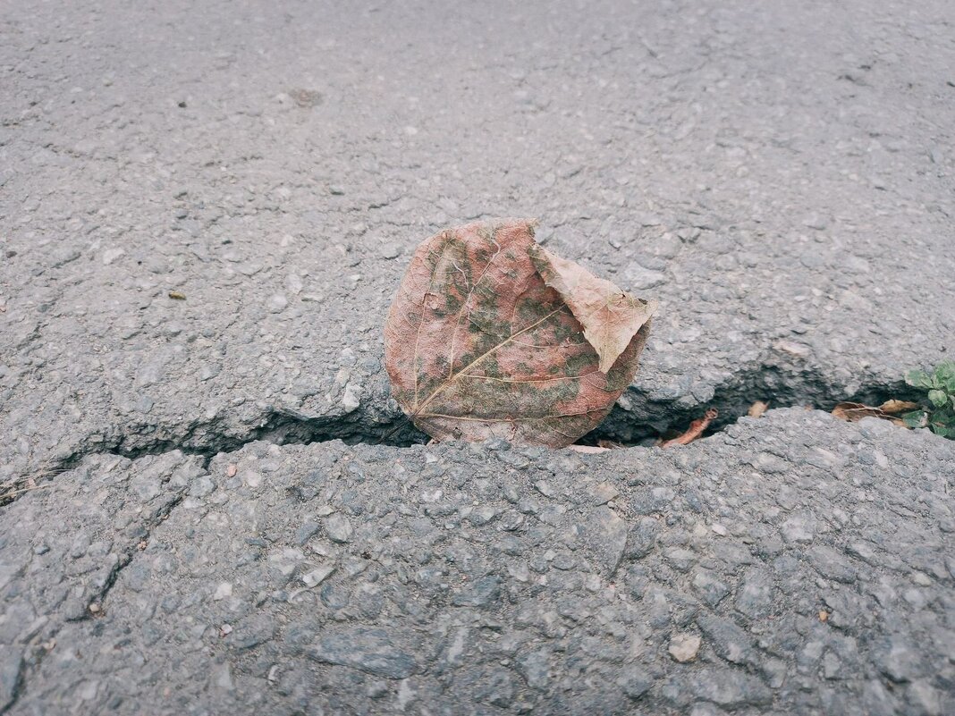 Прошлая осень, прошлого года. - Игорь Солдаткин