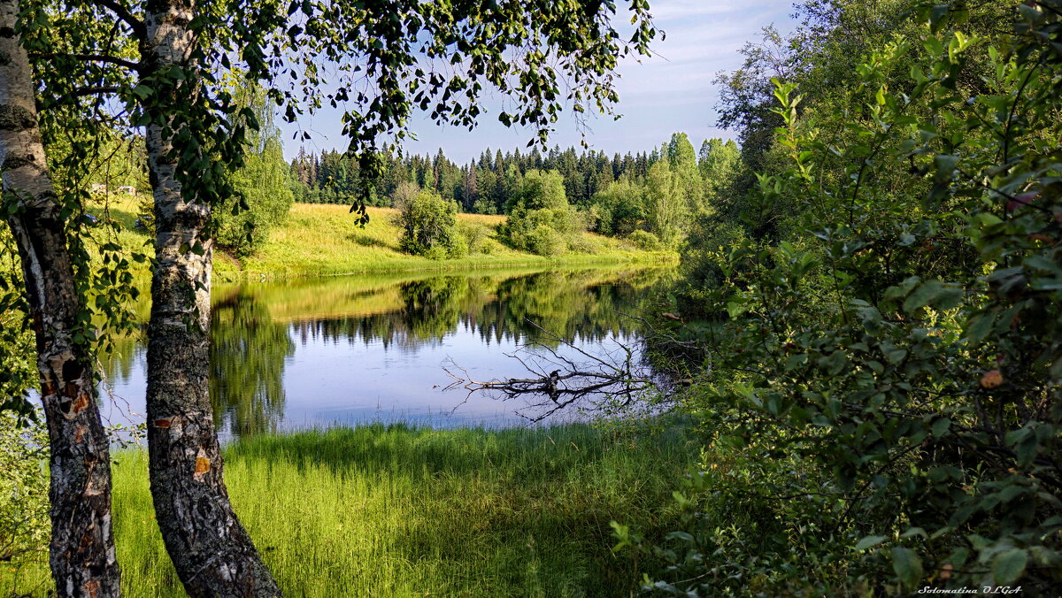 берег - Ольга Cоломатина