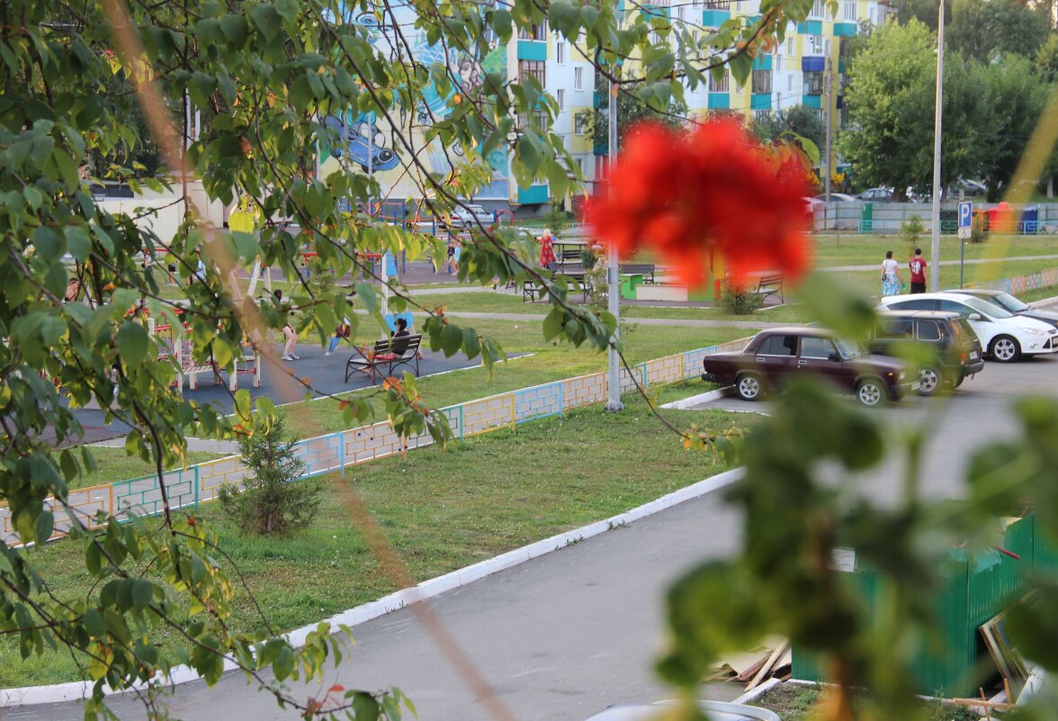 Мой двор. - Венера Чуйкова Мой двор. - Венера Чуйкова