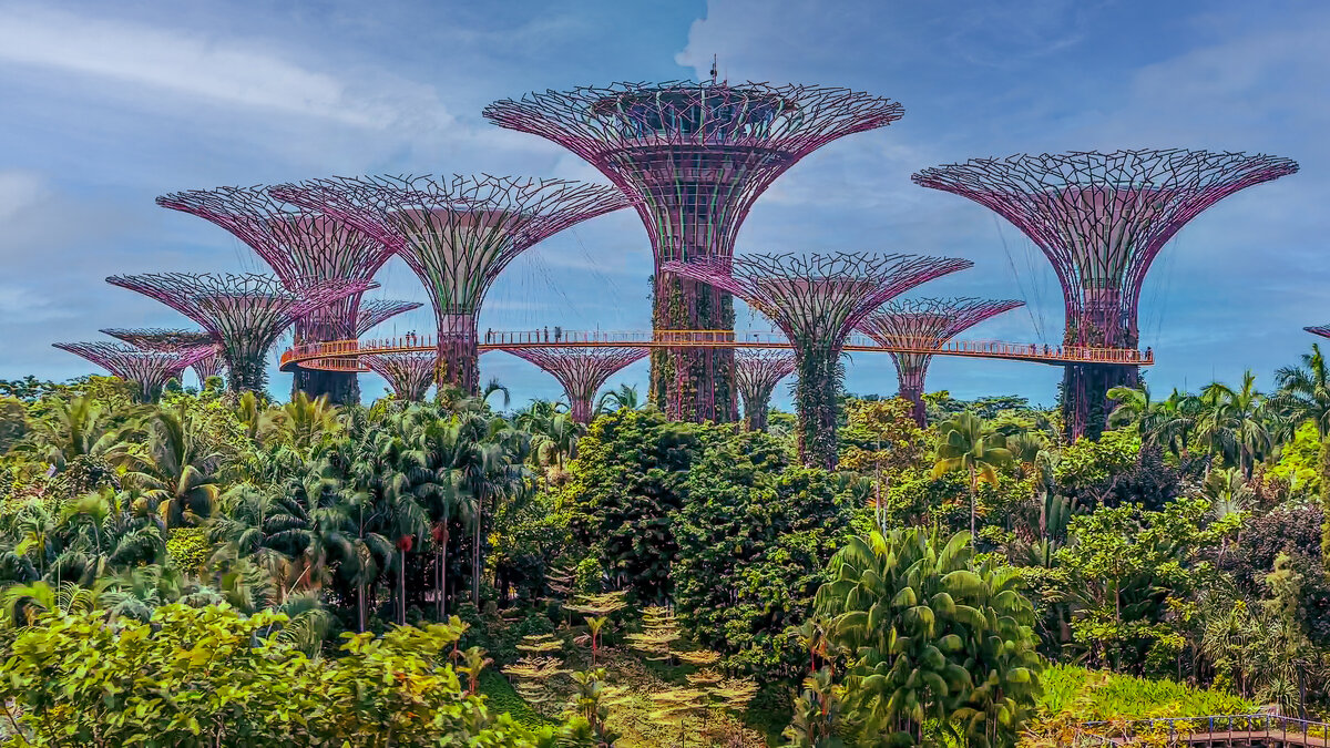 Сингапур - Aleksey Afonin Сингапур - Aleksey Afonin