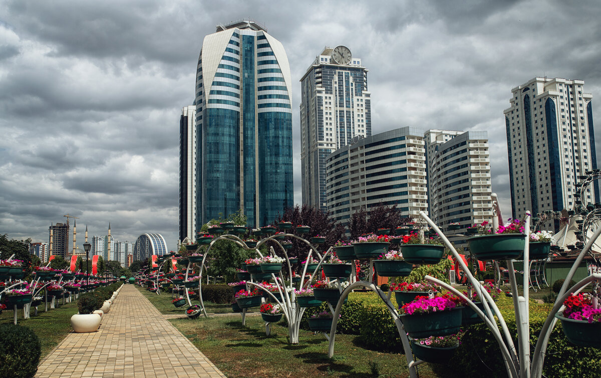 Грозный - Лилия . Грозный - Лилия .