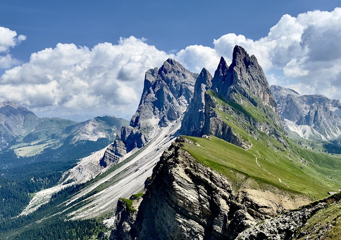 Seceda - Vasile Melnic