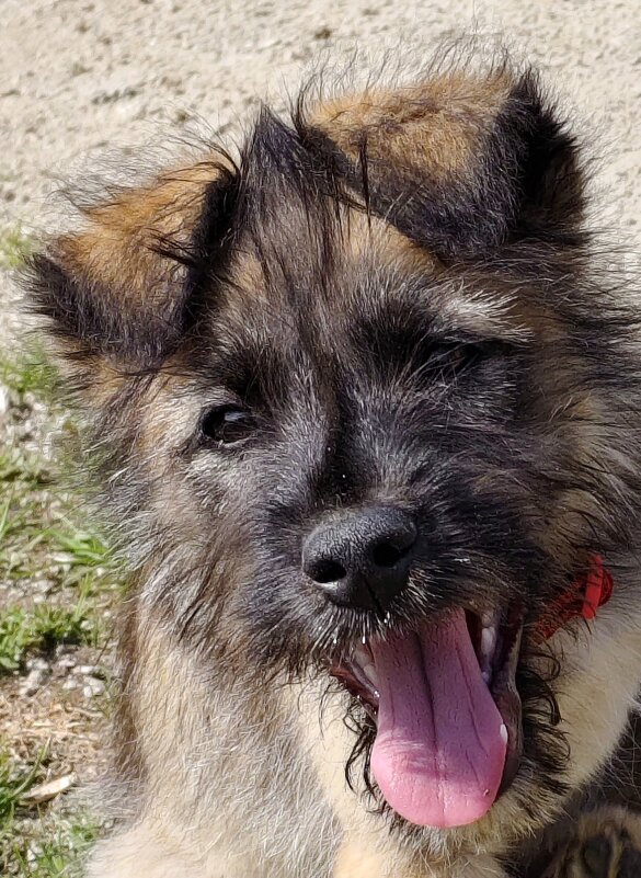 Очаровашка. - Александр Кондаков