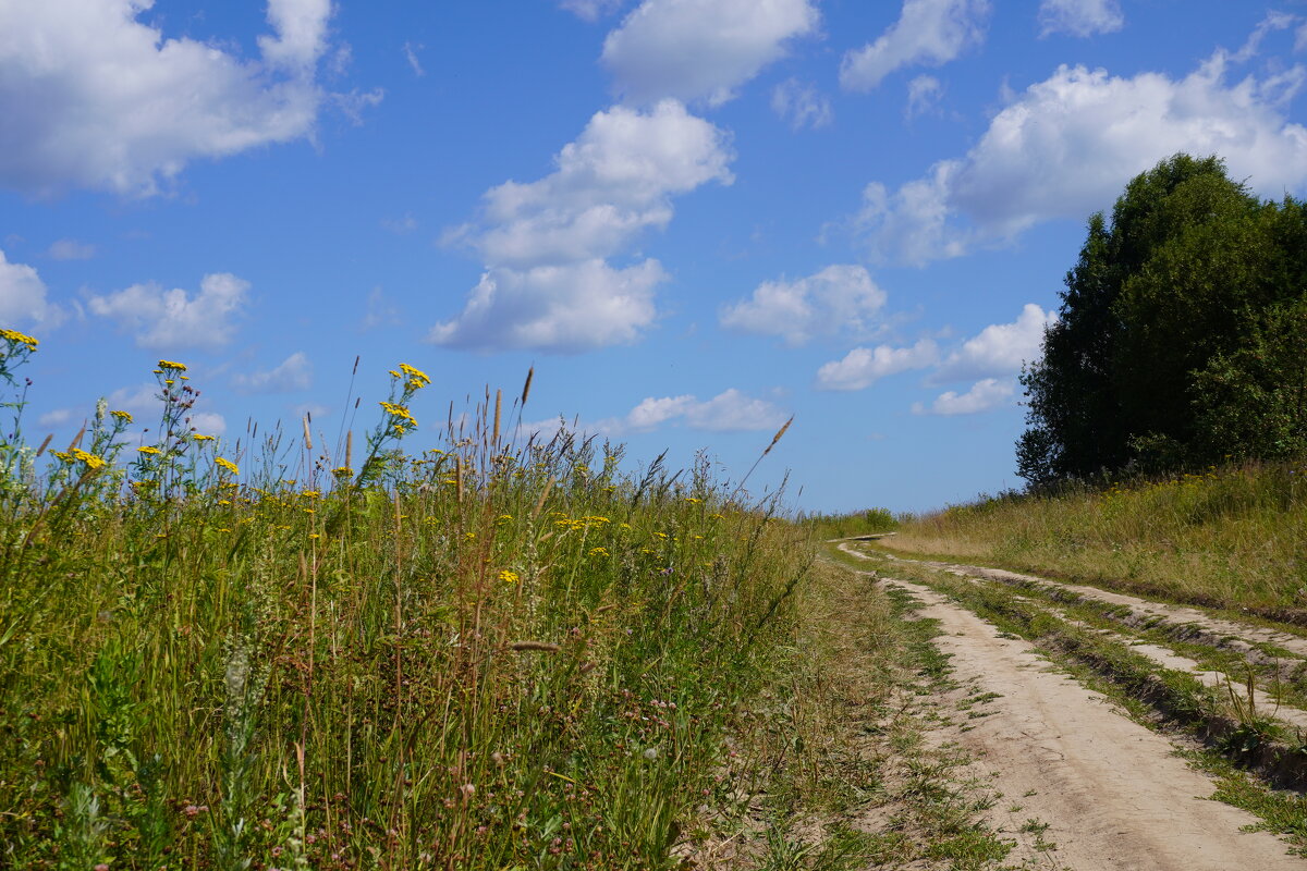 Дорога в облака - Сергей Ц Дорога в облака - Сергей Ц