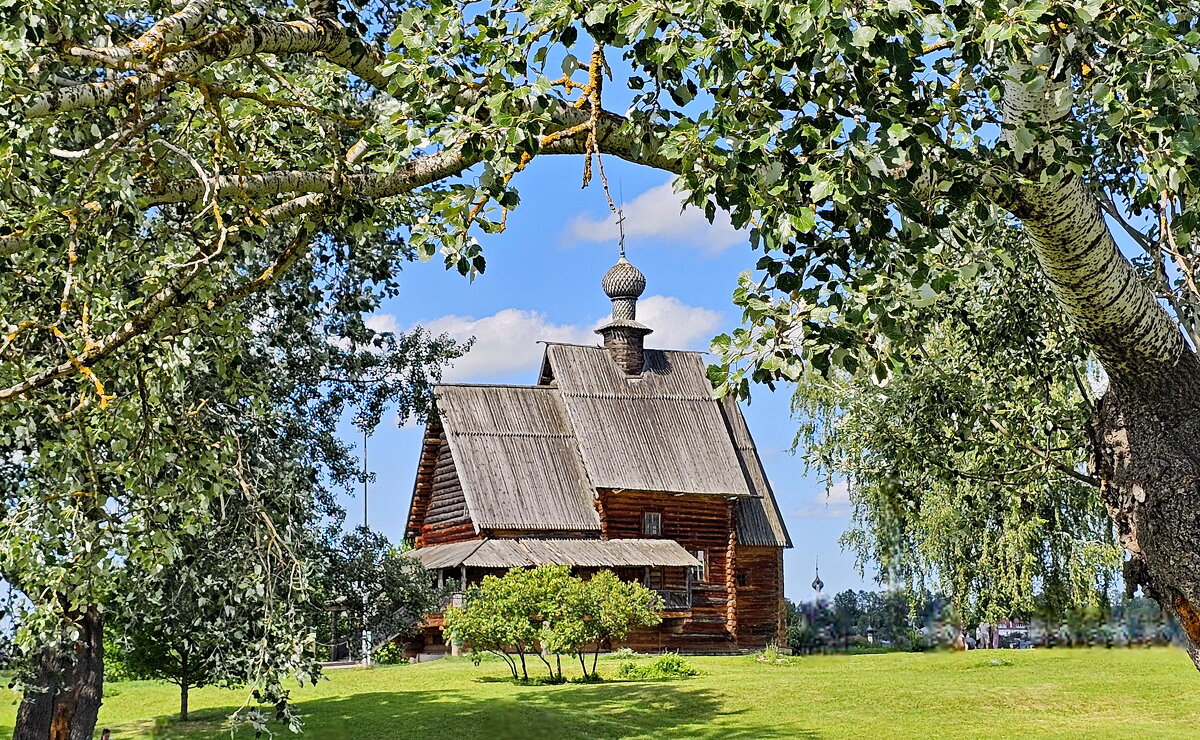 Суздаль - Михаил Свиденцов