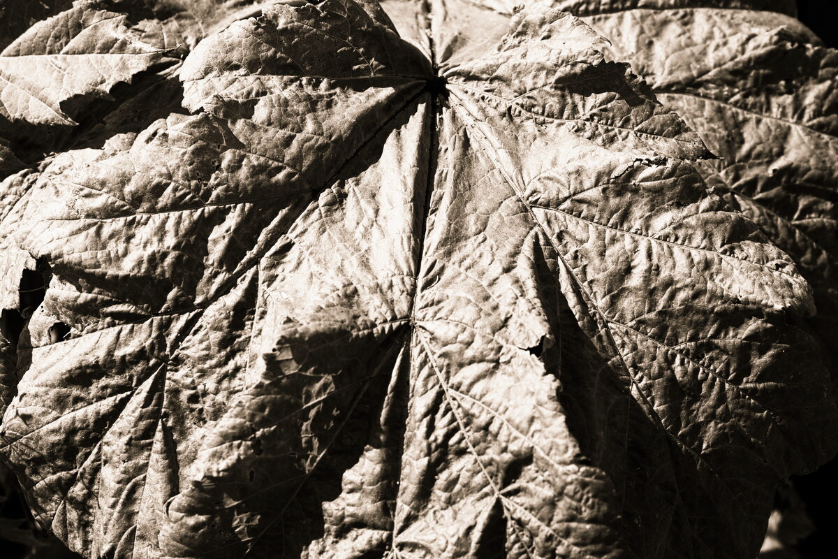 Назва. отсу. - Денис Безногов