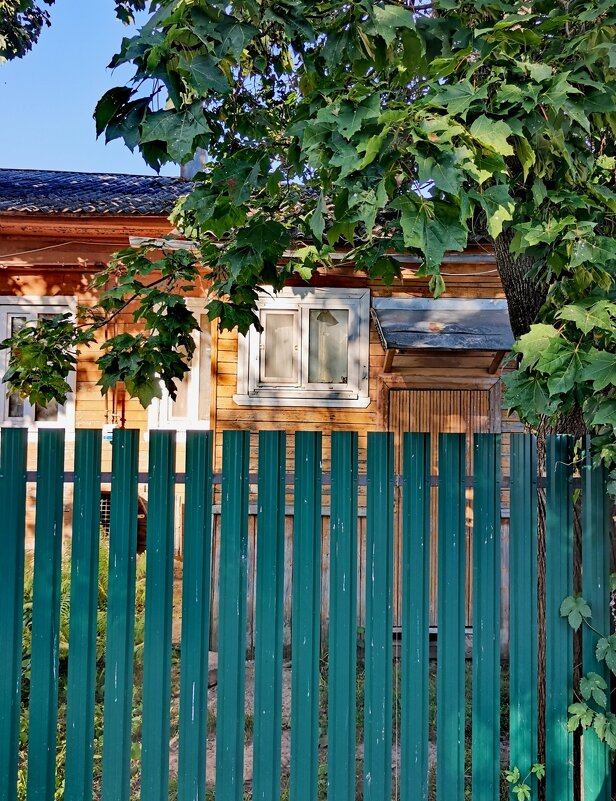 Лето. - Любимова Ольга 