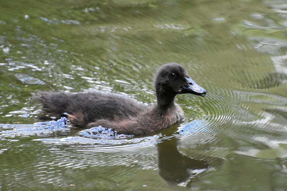 Москва. Сад будущего. Малыш. - Наташа ***** Москва. Сад будущего. Малыш. - Наташа *****