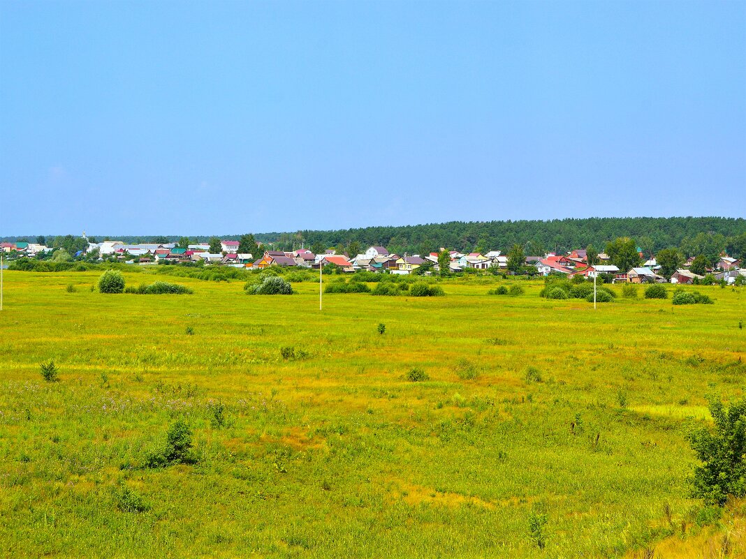 Алатырь. Заливные луга в пойме реки Алатырь. - Пётр Чернега