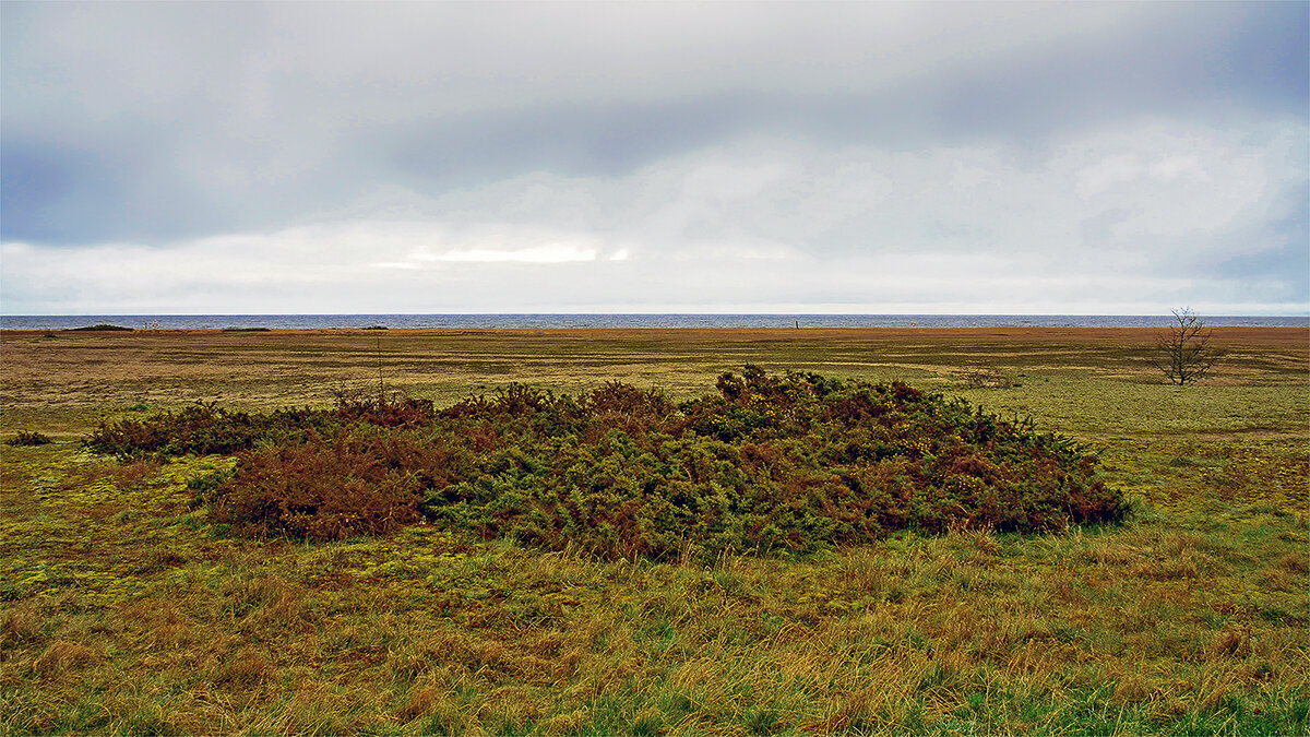 На побережьи Балтийского моря - Alexandеr P