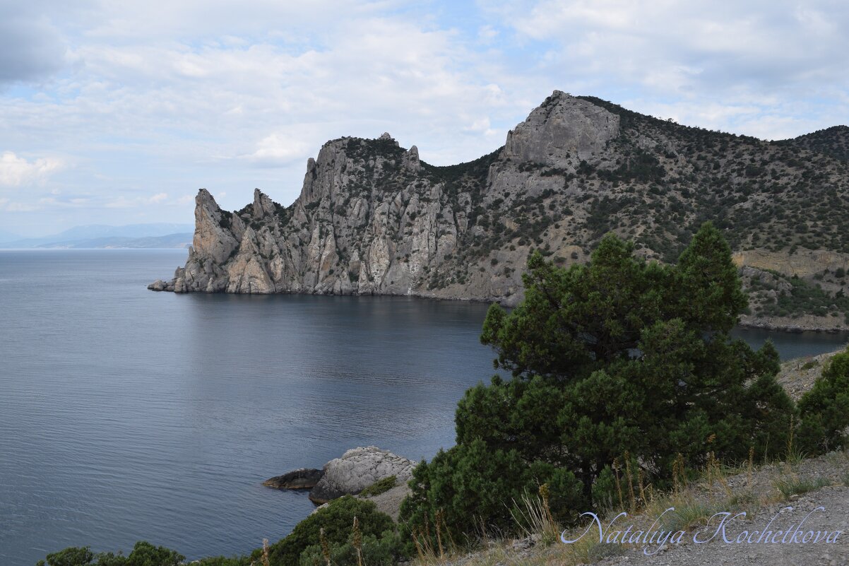 Природа Крыма - Amazing Cosmea