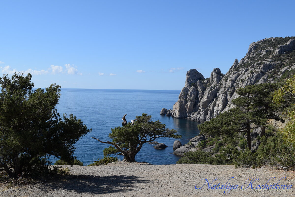 Природа Крыма - Amazing Cosmea Природа Крыма - Amazing Cosmea