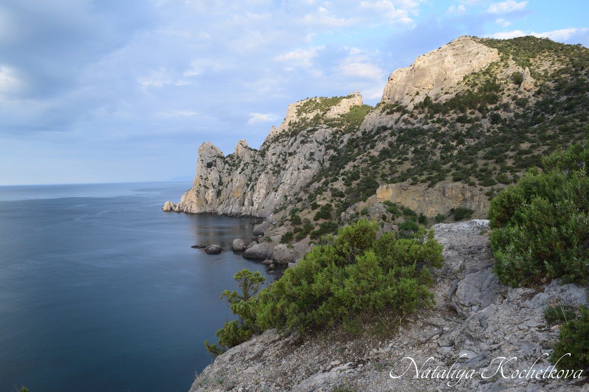 Природа Крыма - Amazing Cosmea Природа Крыма - Amazing Cosmea