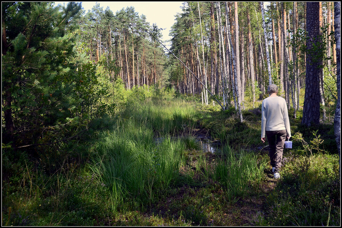 Август... - Aleksandr Gal Август... - Aleksandr Gal