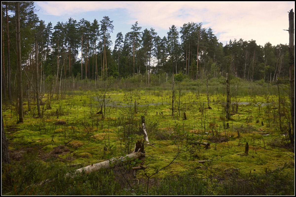 Было озеро.... - Aleksandr Gal