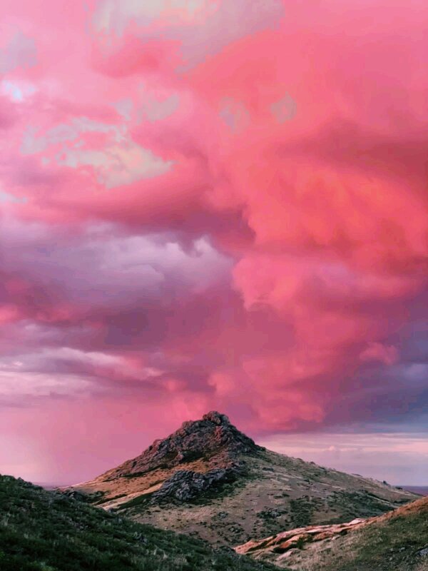 Алая заря - Георгиевич Алая заря - Георгиевич