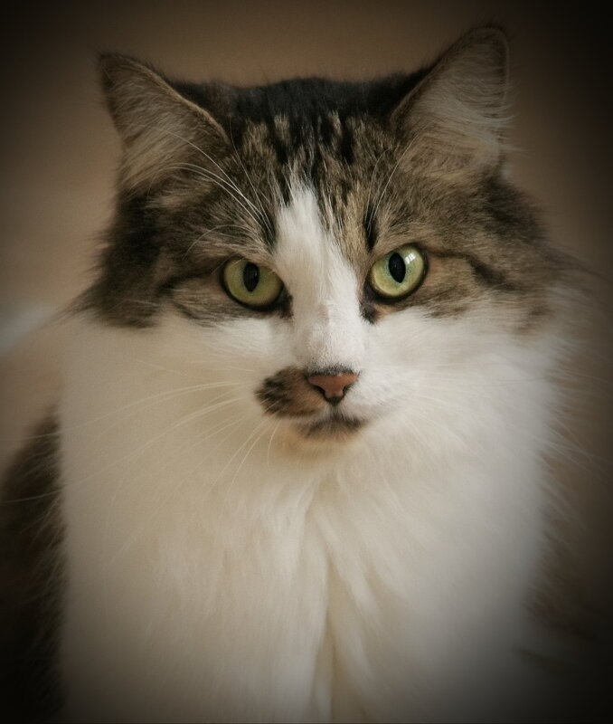 Моя "Маруся" - fillarret-2 