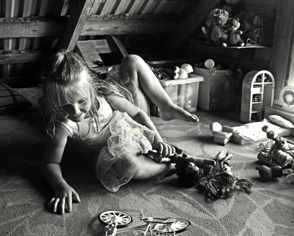 Свой дом... - СЮ 