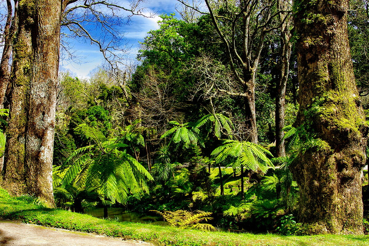 Magic Azores 80 - Arturs Ancans