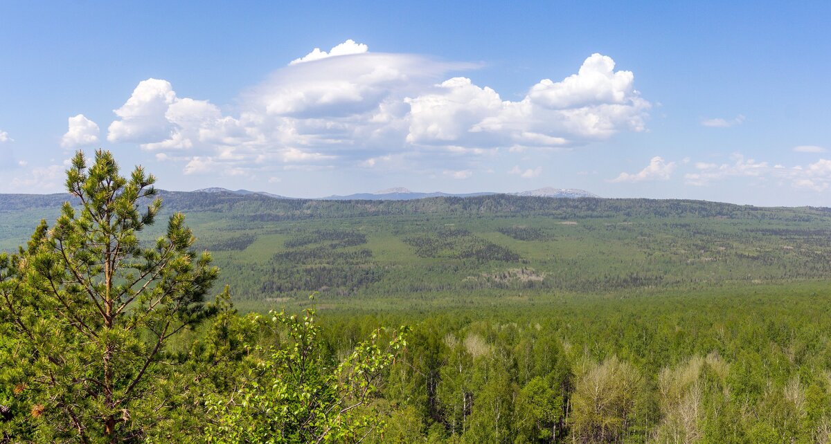 На горе Крутой Ключ. - Алексей Трухин На горе Крутой Ключ. - Алексей Трухин