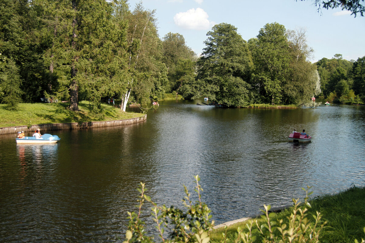 На Елагином острове - Евгений Шафер