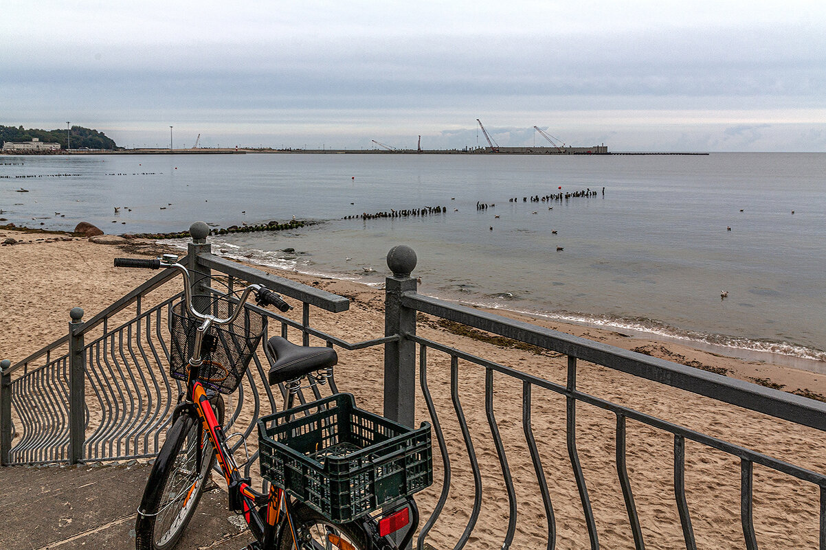 Пионерский - Дмитрий 