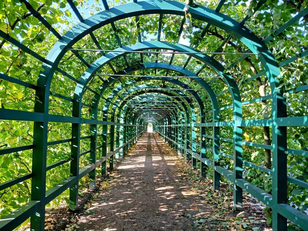 Галерея Берсо. - Лия ☼