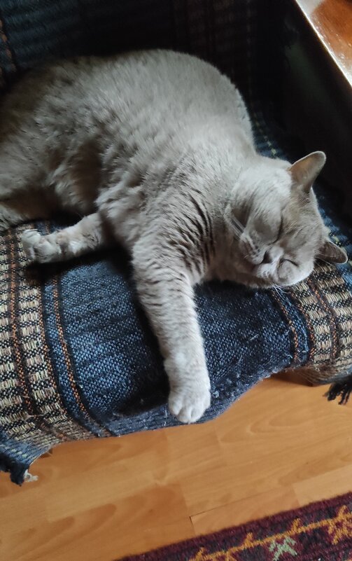 Дождливый день на даче - Татьяна Лютаева