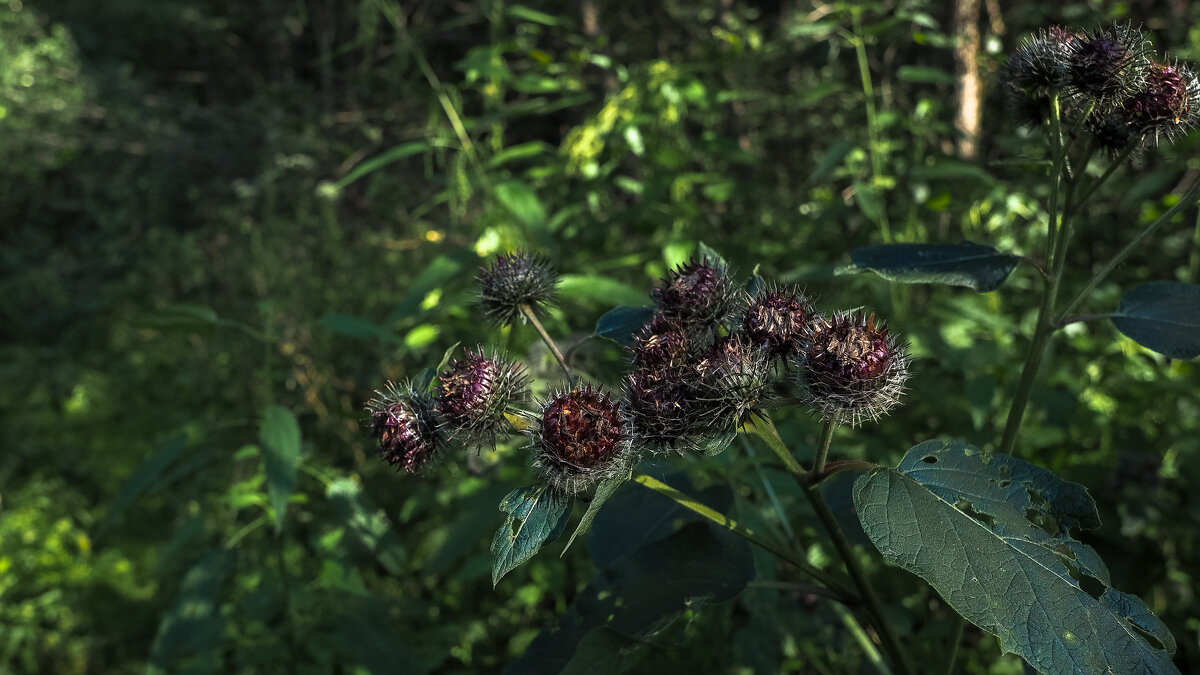 ***** - юрий поляков