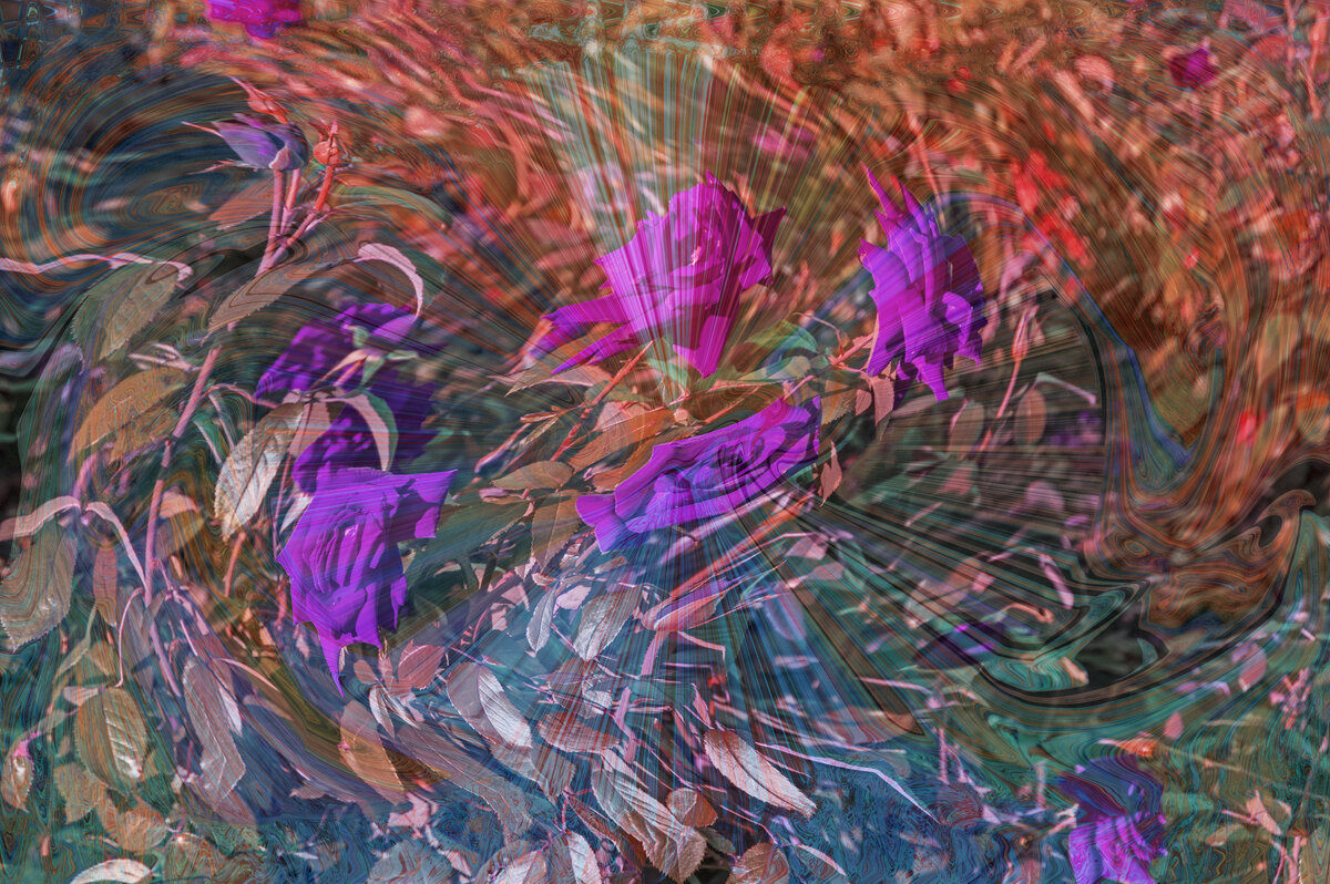 Танец роз - Сергей Фомичев