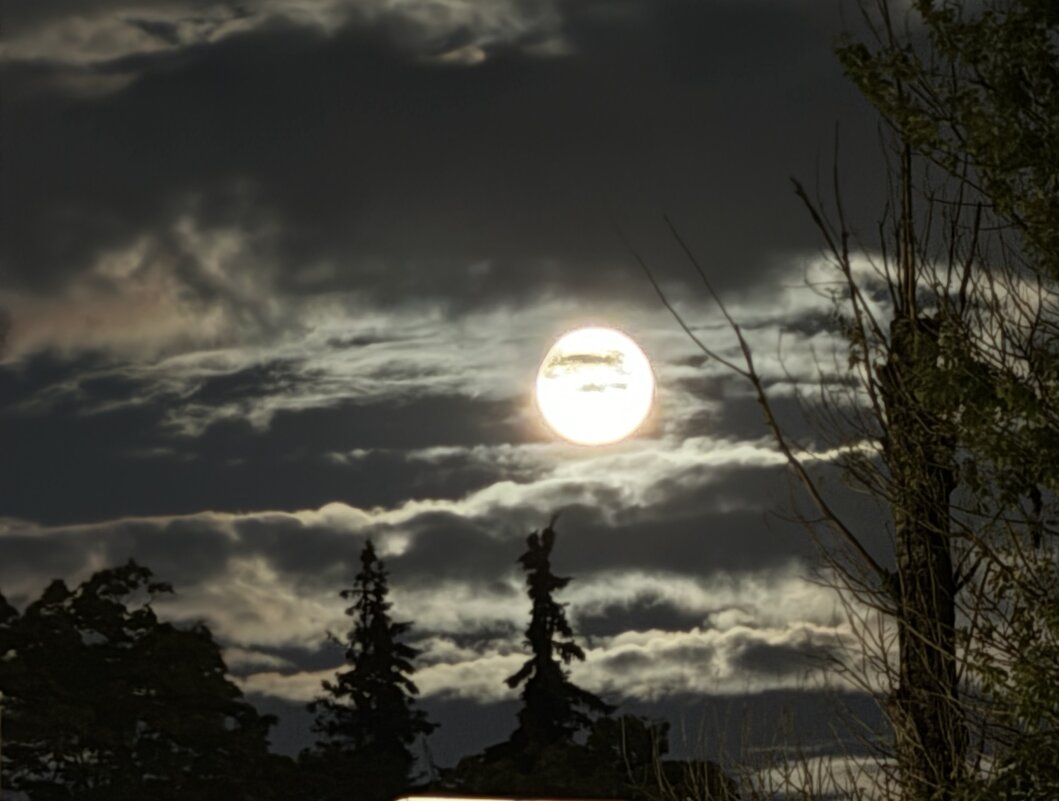 LUNA - Анна Камс