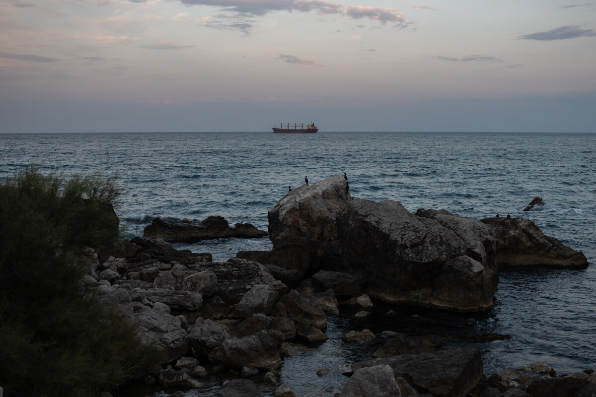 ..... - Дмитрий А