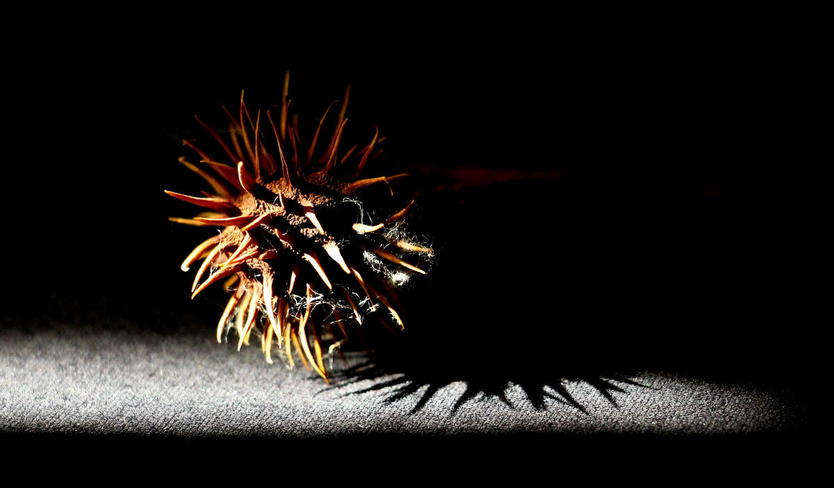 Изъ мрака къ свету - Олегъ Петрович