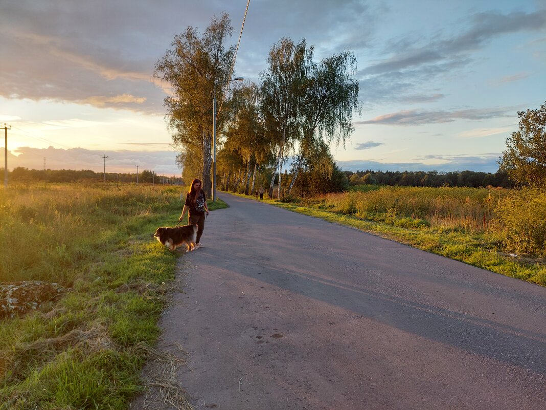 вечерняя прогулка с собакеным - Артём вечерняя прогулка с собакеным - Артём