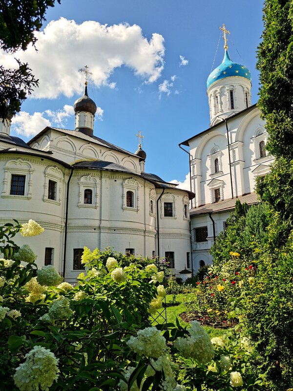 Новоспасский ставропигиальный мужской монастырь. Москва - Любимова Ольга 