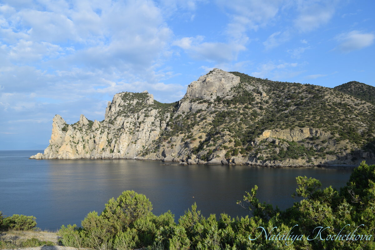 Природа Крыма - Amazing Cosmea