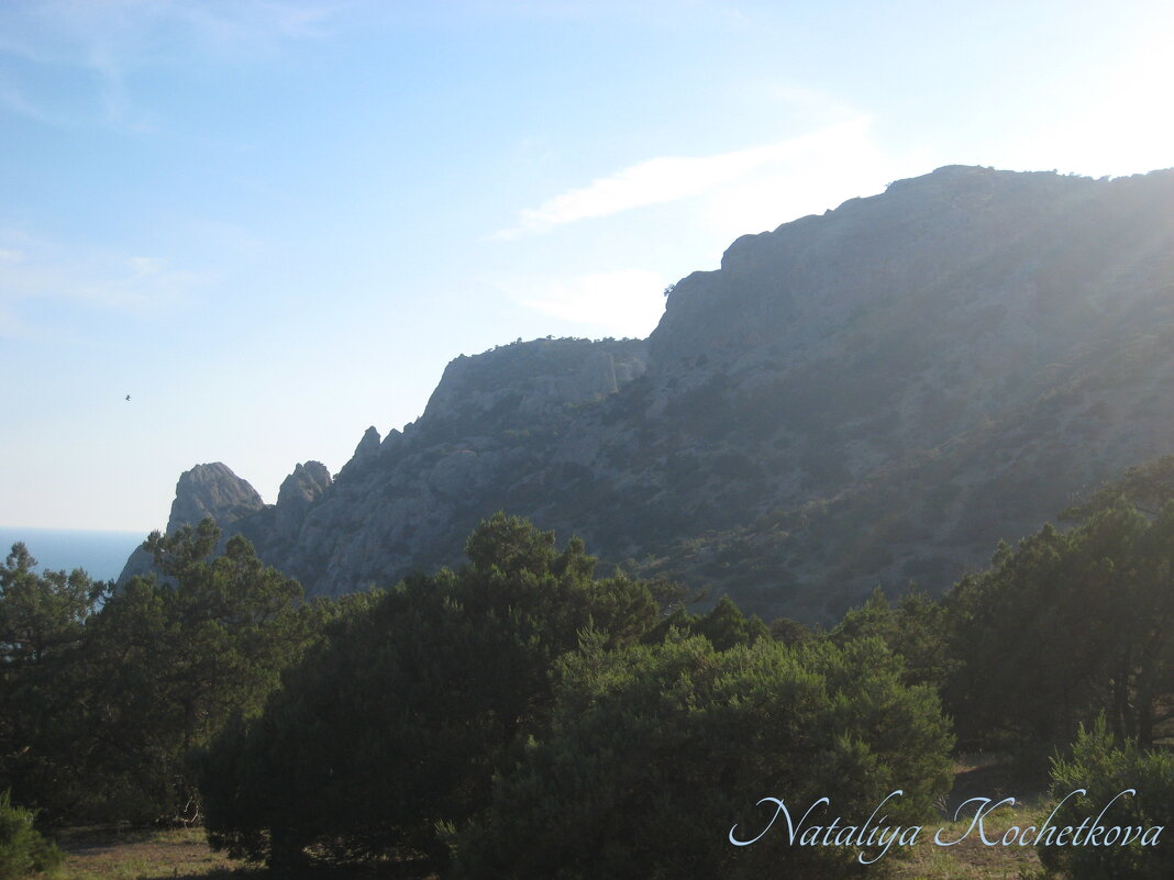 Природа Крыма - Amazing Cosmea