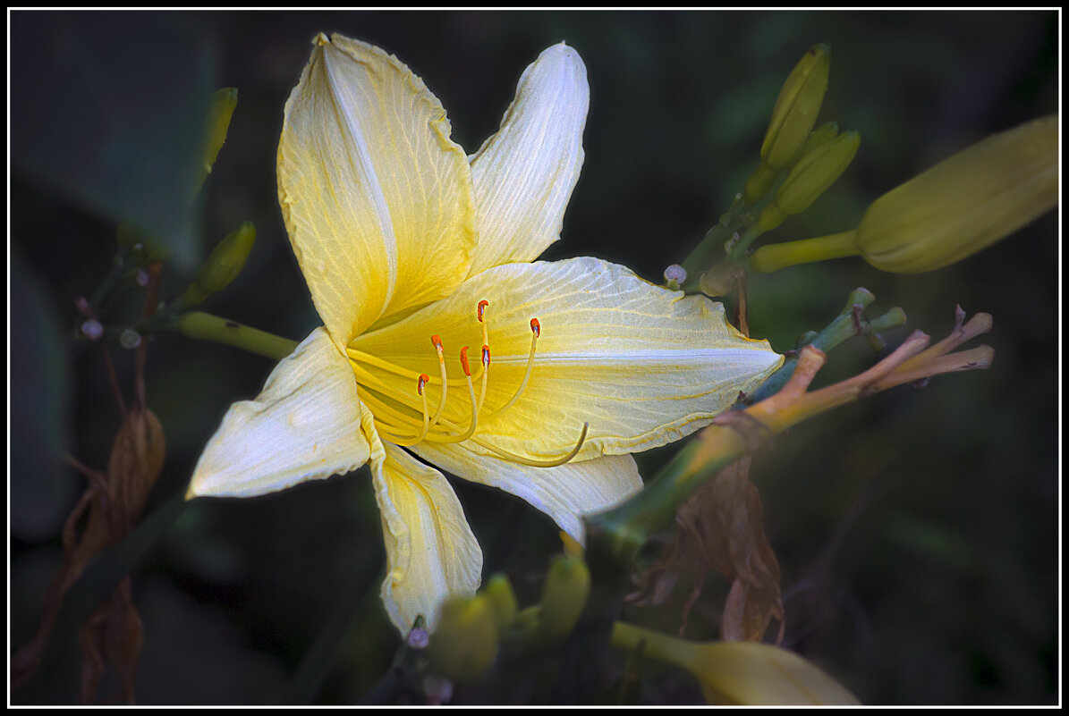 Доброе утро - Владимир Кроливец
