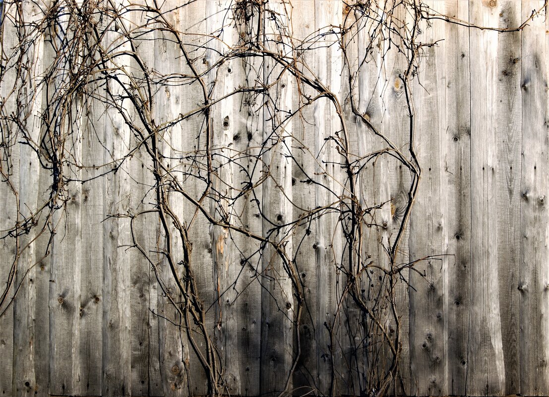 /// - Виктор Никитенко /// - Виктор Никитенко