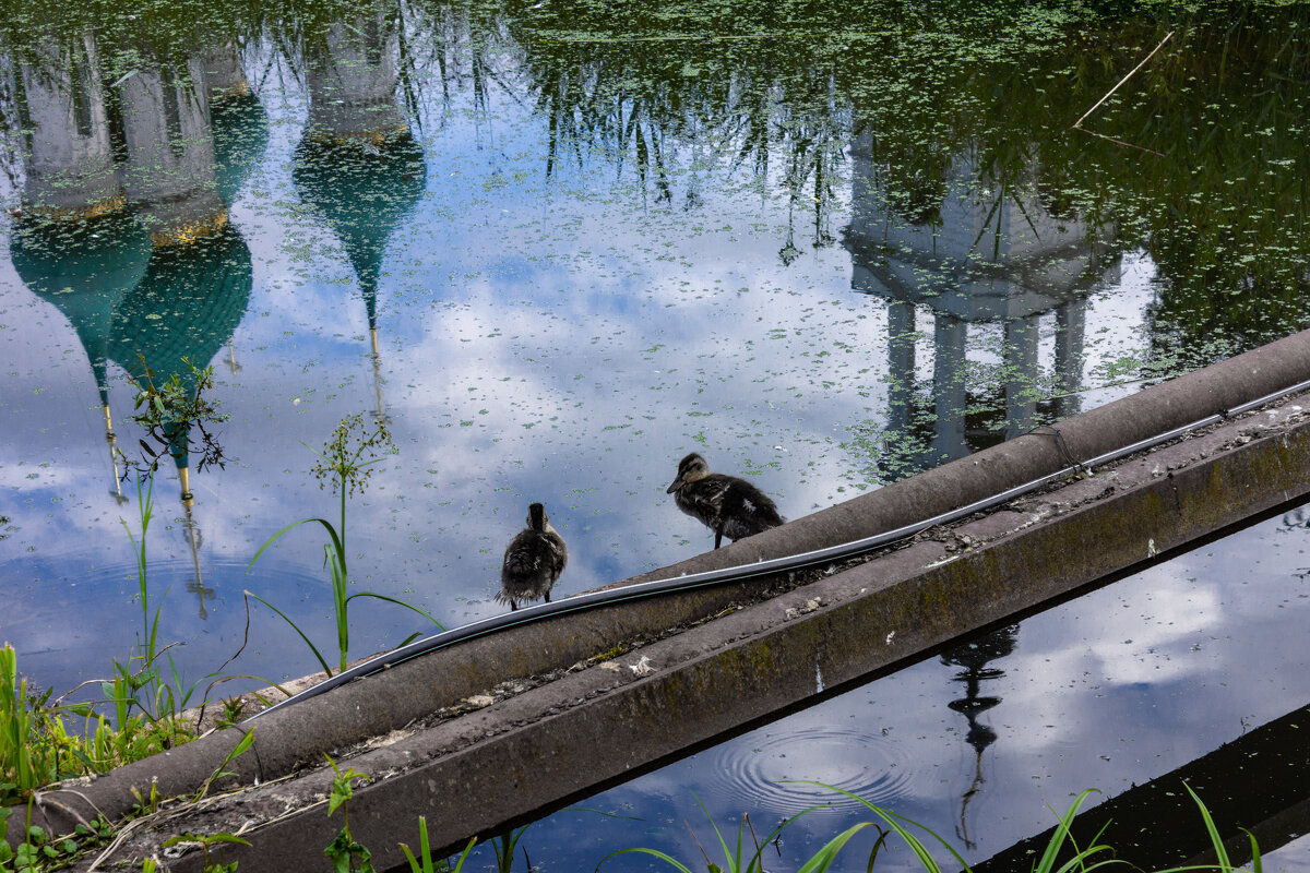 *** - ирина )))