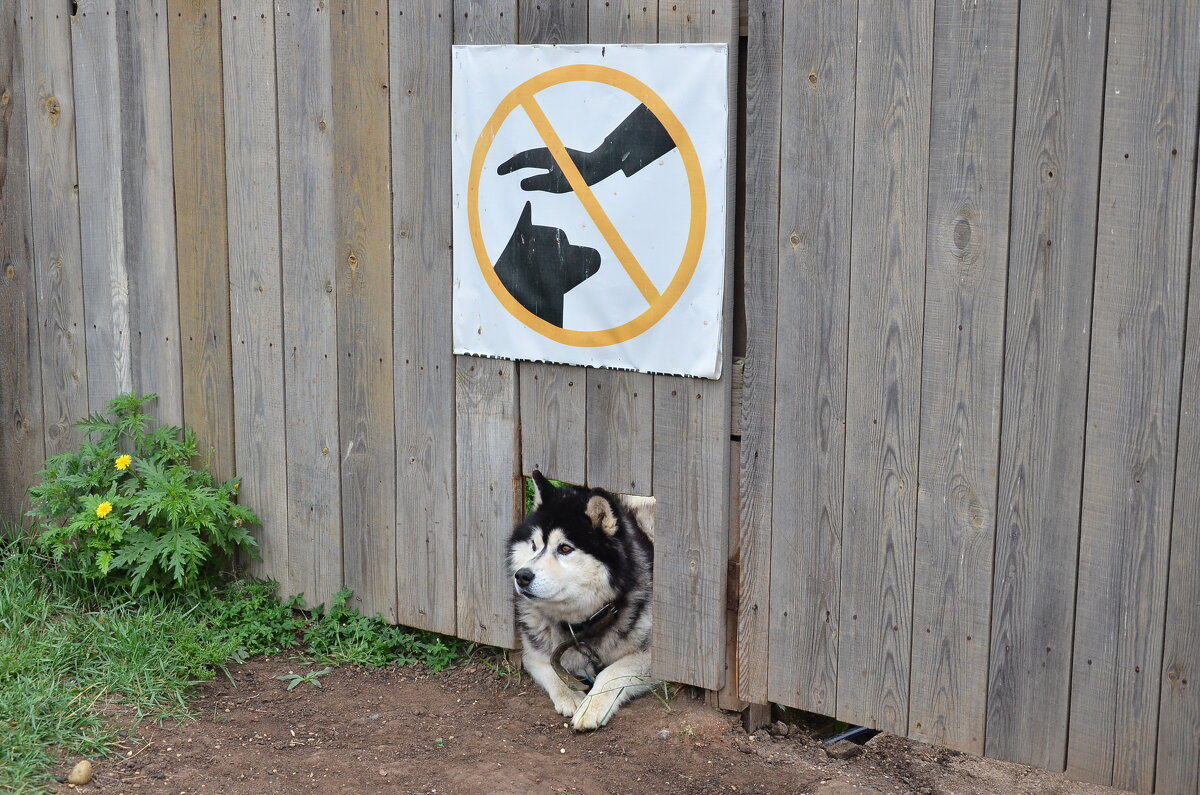 ...Покушать не откажусь:)) - Рудаков Сергей 