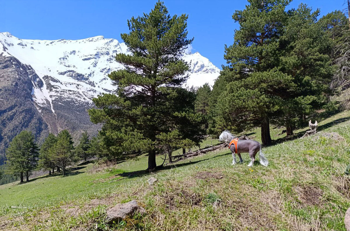 . - Анастасия Софронова