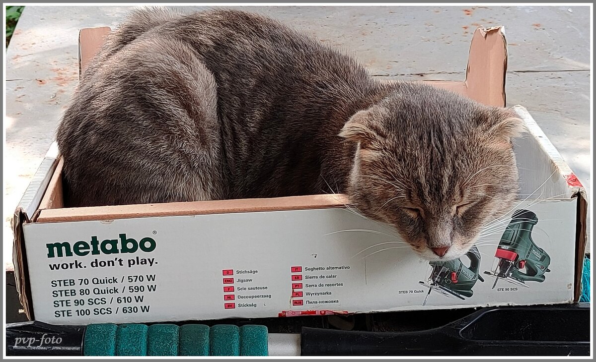 Фунтик. - Владимир Попов