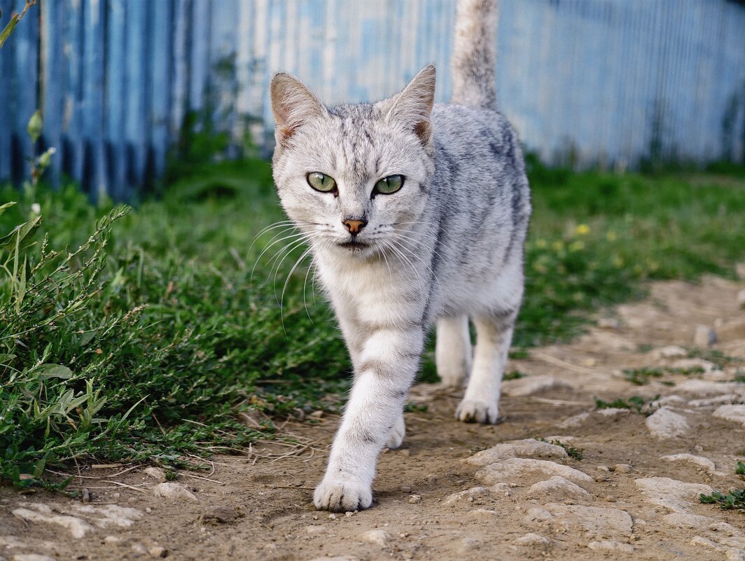 ** - Борис Руднев