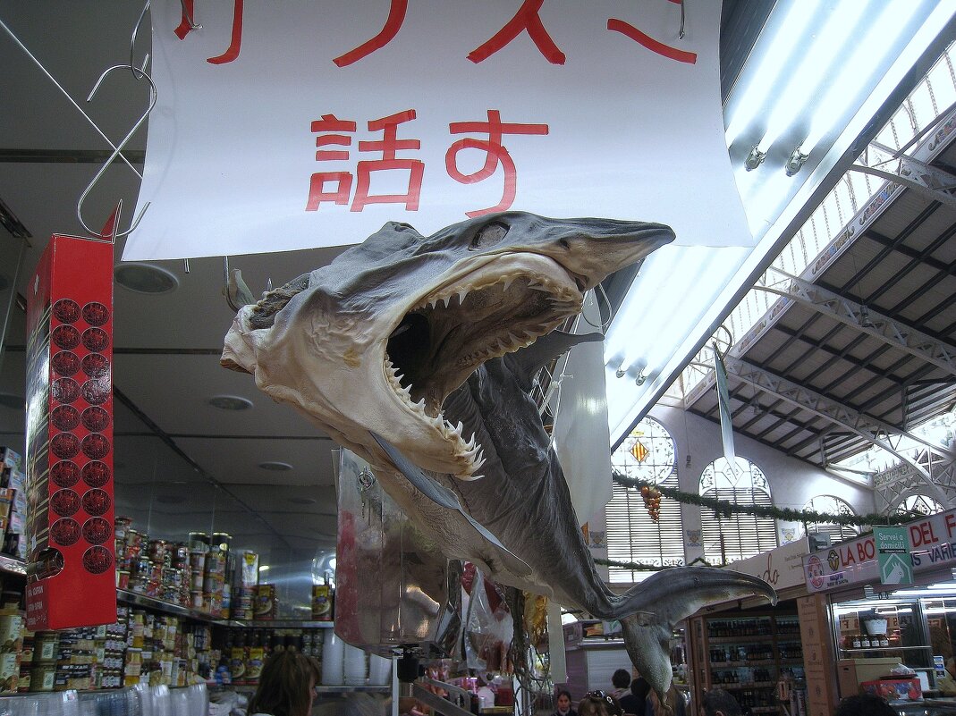 Зубастая зверюга!:))) На центральном рынке Валенсии. - unix (Илья Утропов)