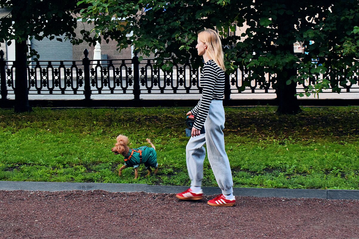 Простые радости: прогулка с хозяйкой. - Татьяна Помогалова