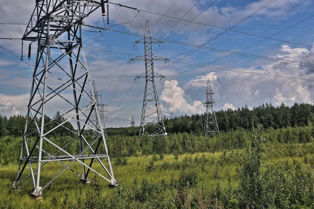 Июль..Олений остров. Техногенное! - Владимир 