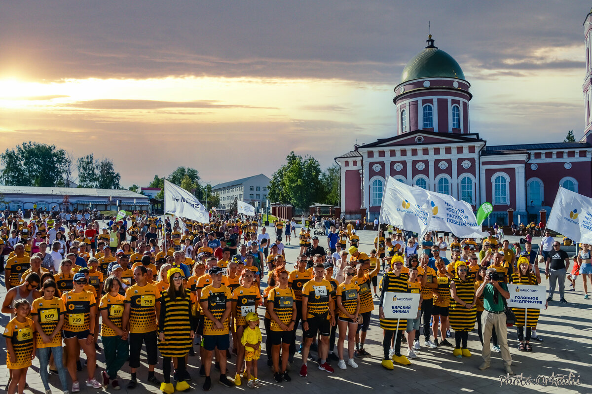 Пчёлки - arkadii 