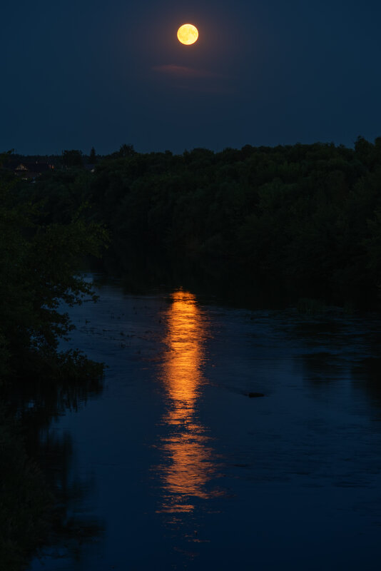 ** - Виталий Емельянов