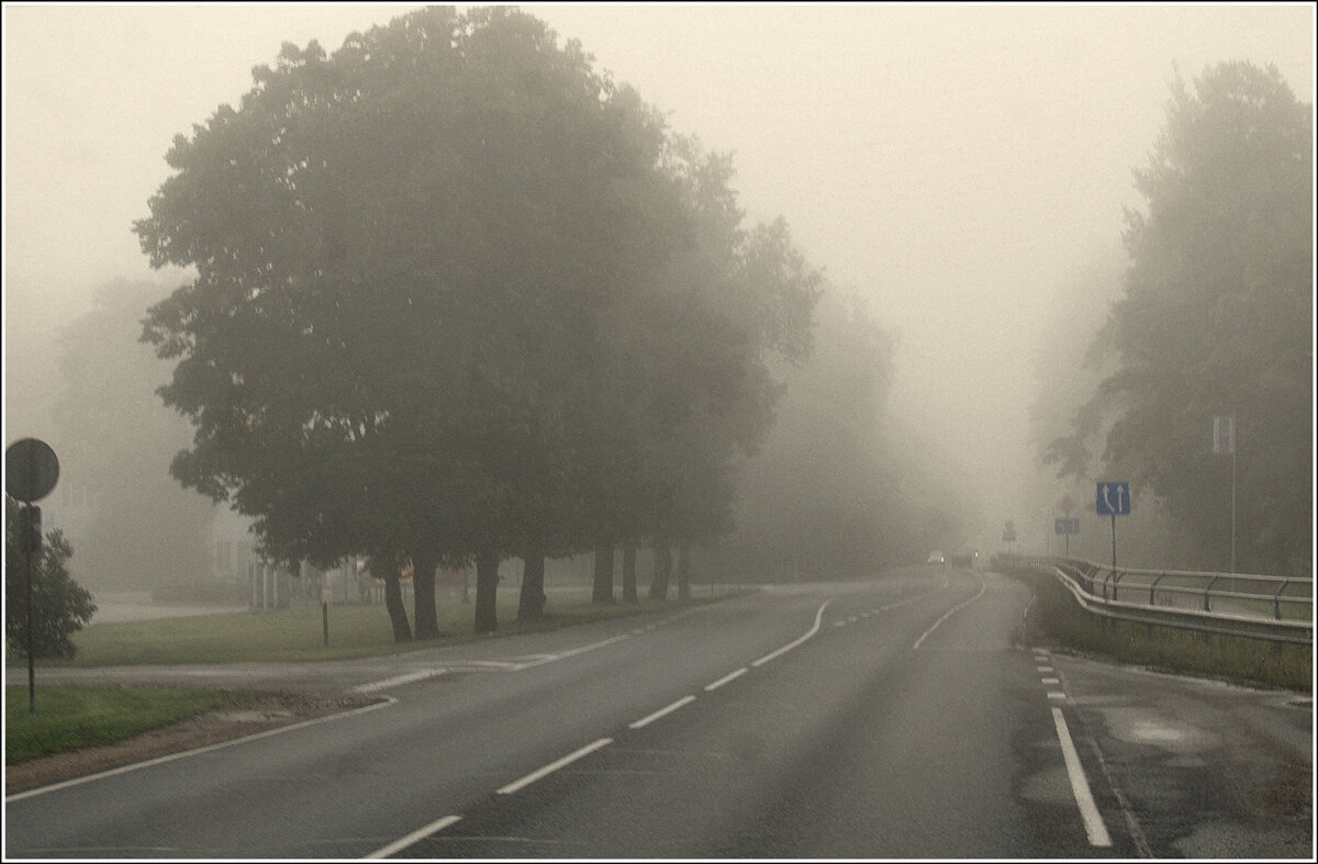 Туман - Aleksandr Gal